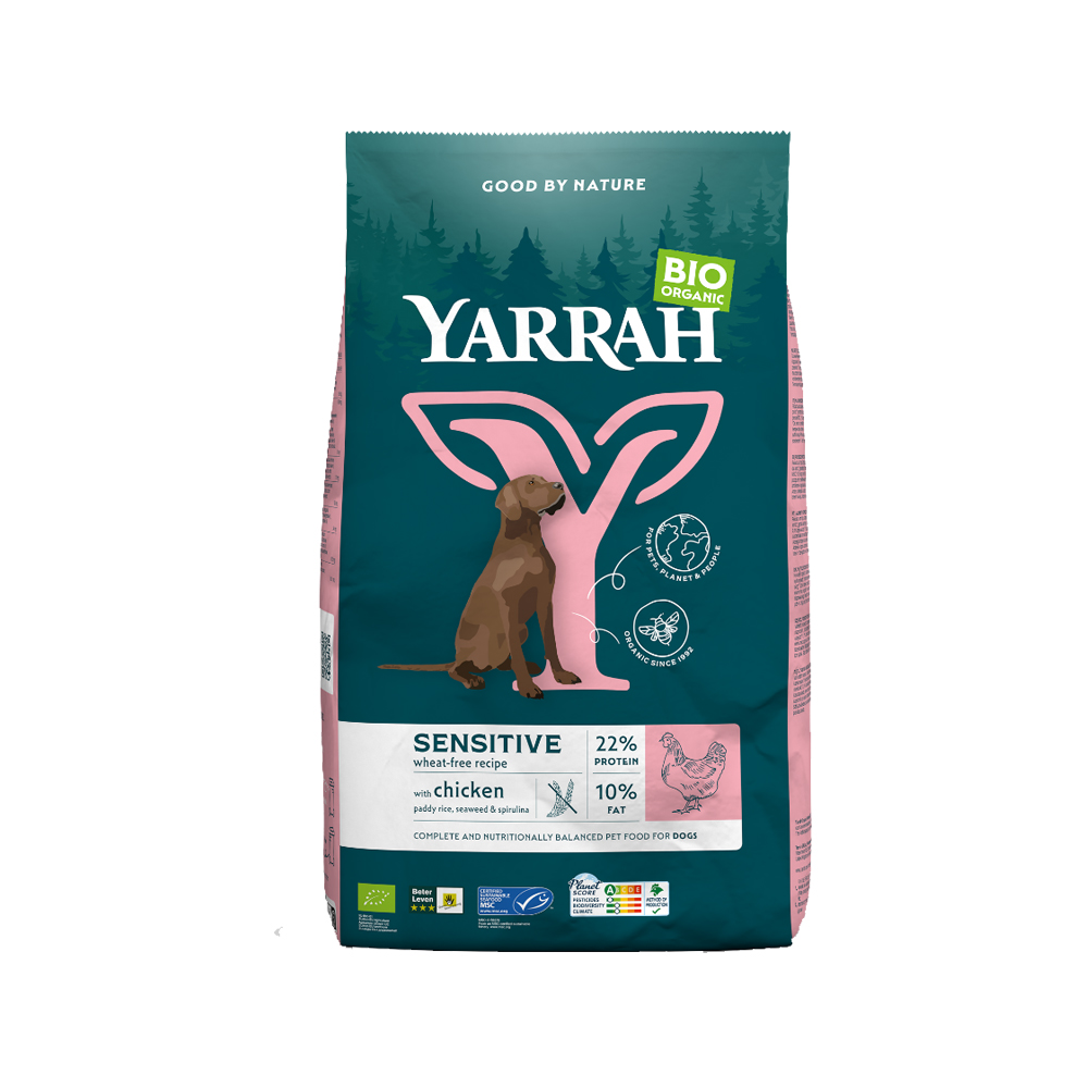 orthopädisches hundebett xl sale Hundebett Orthopädisch – Für große Hunde