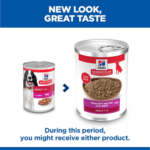 Hill's Science Plan Medium - Adult - Beef - Can