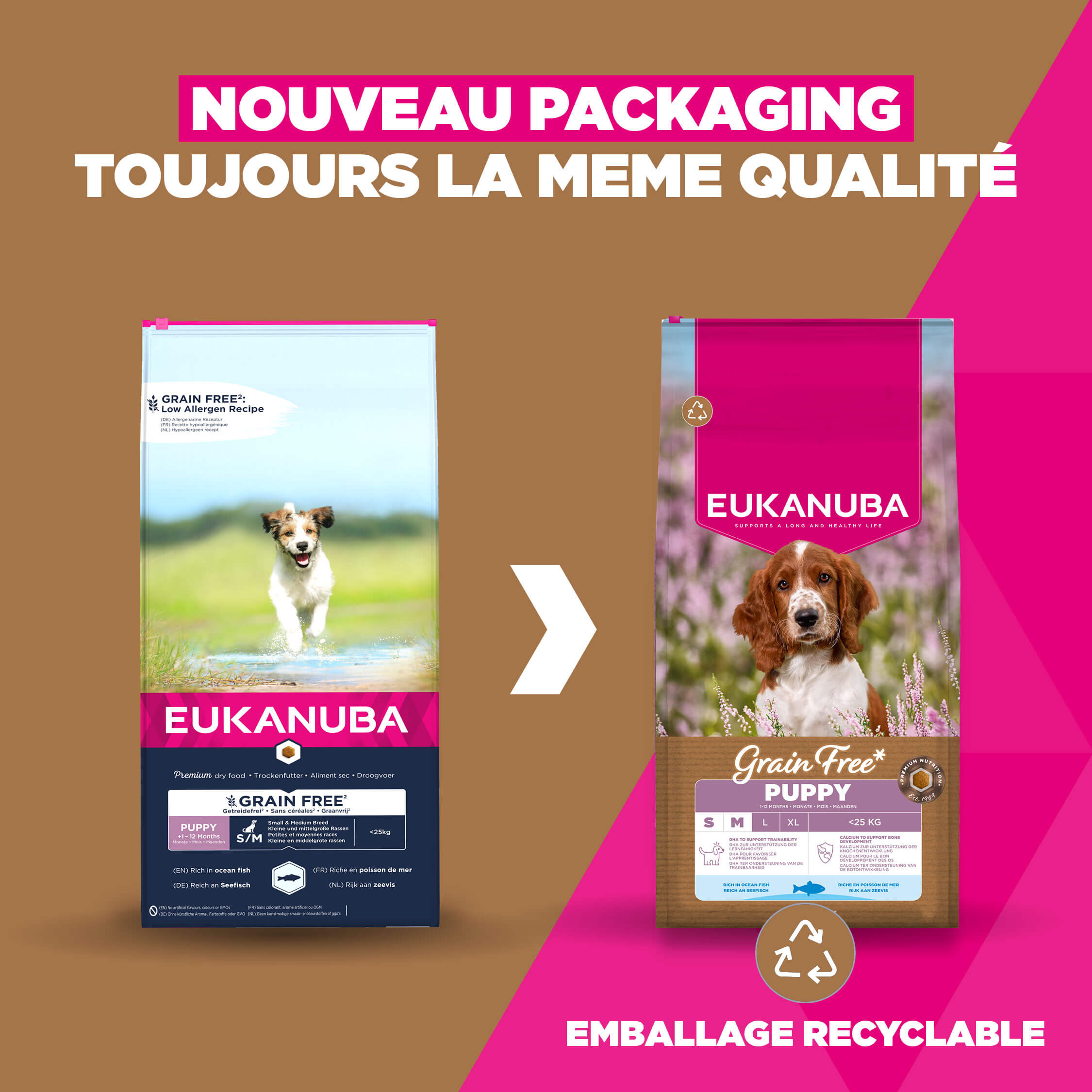 Eukanuba Dog Puppy Small/Medium Grainfree Aliment pour chien
