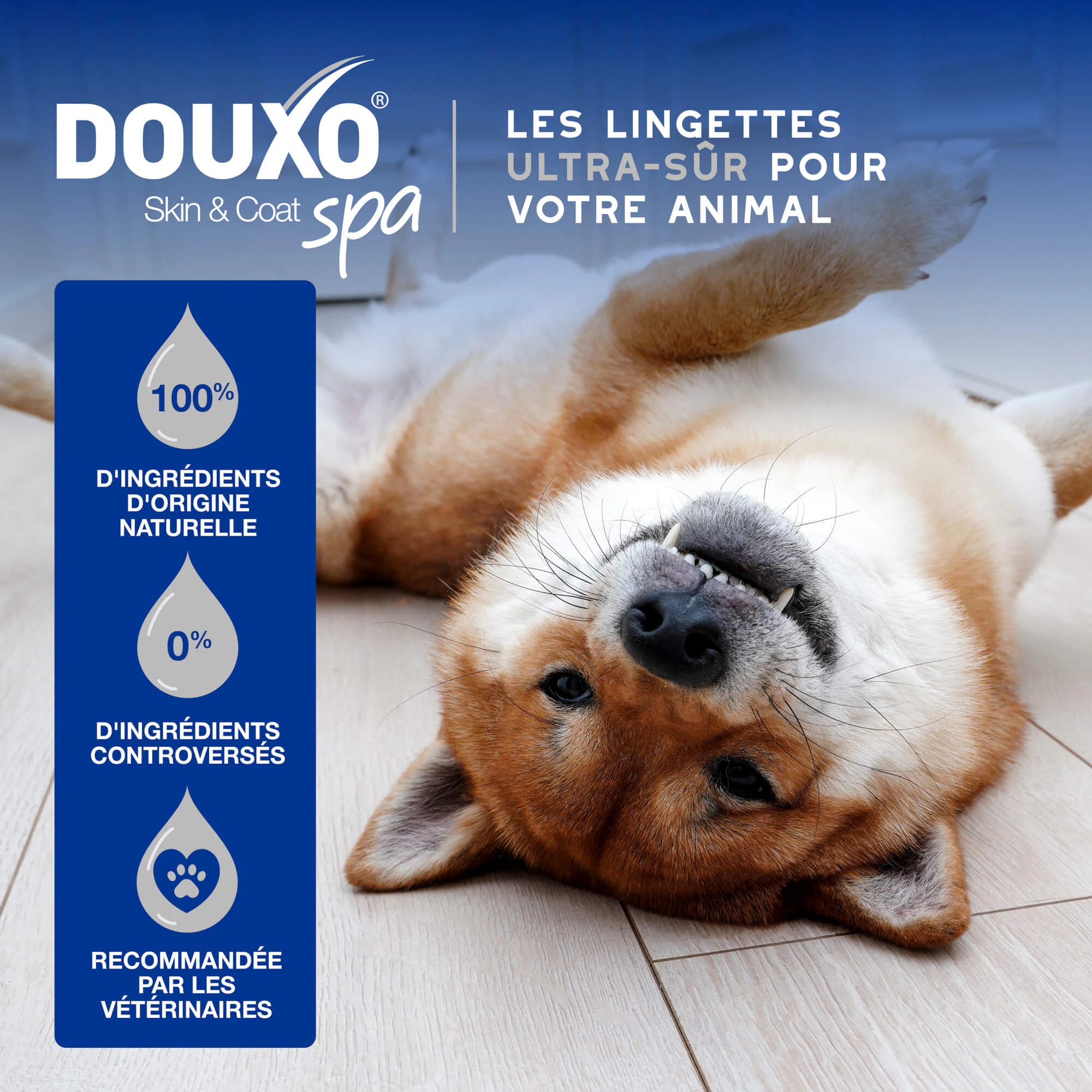 Douxo Spa - Lingettes Nettoyantes