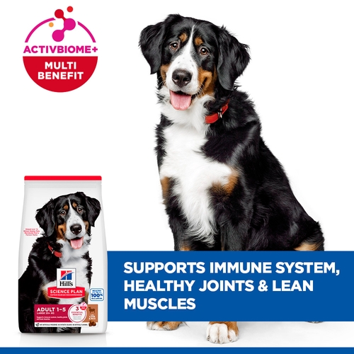 Hill's Science Plan Large Breed - Adult - Lamb & Rice