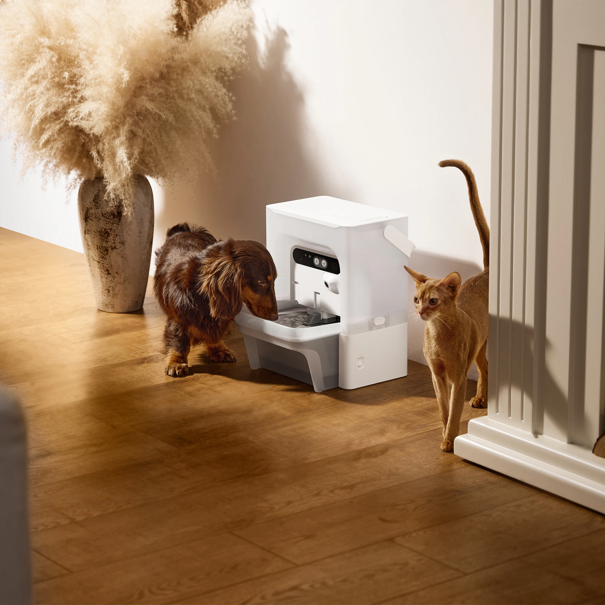 PETKIT Eversweet Ultra AI
