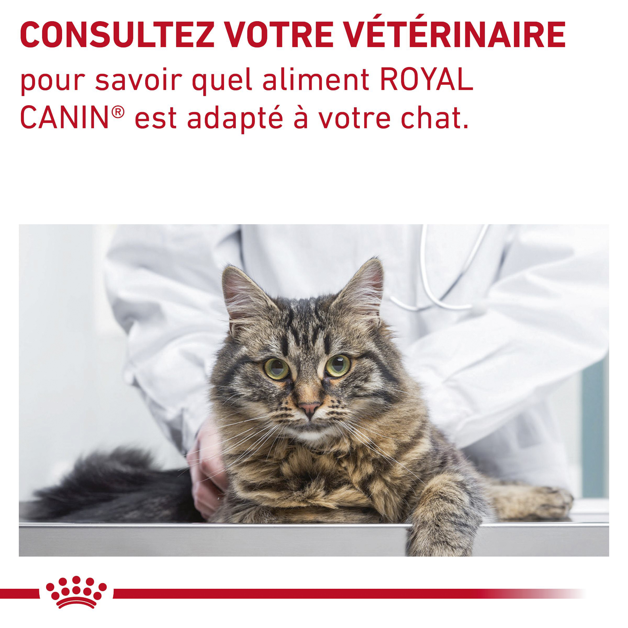 Royal Canin Fibre Response Chat