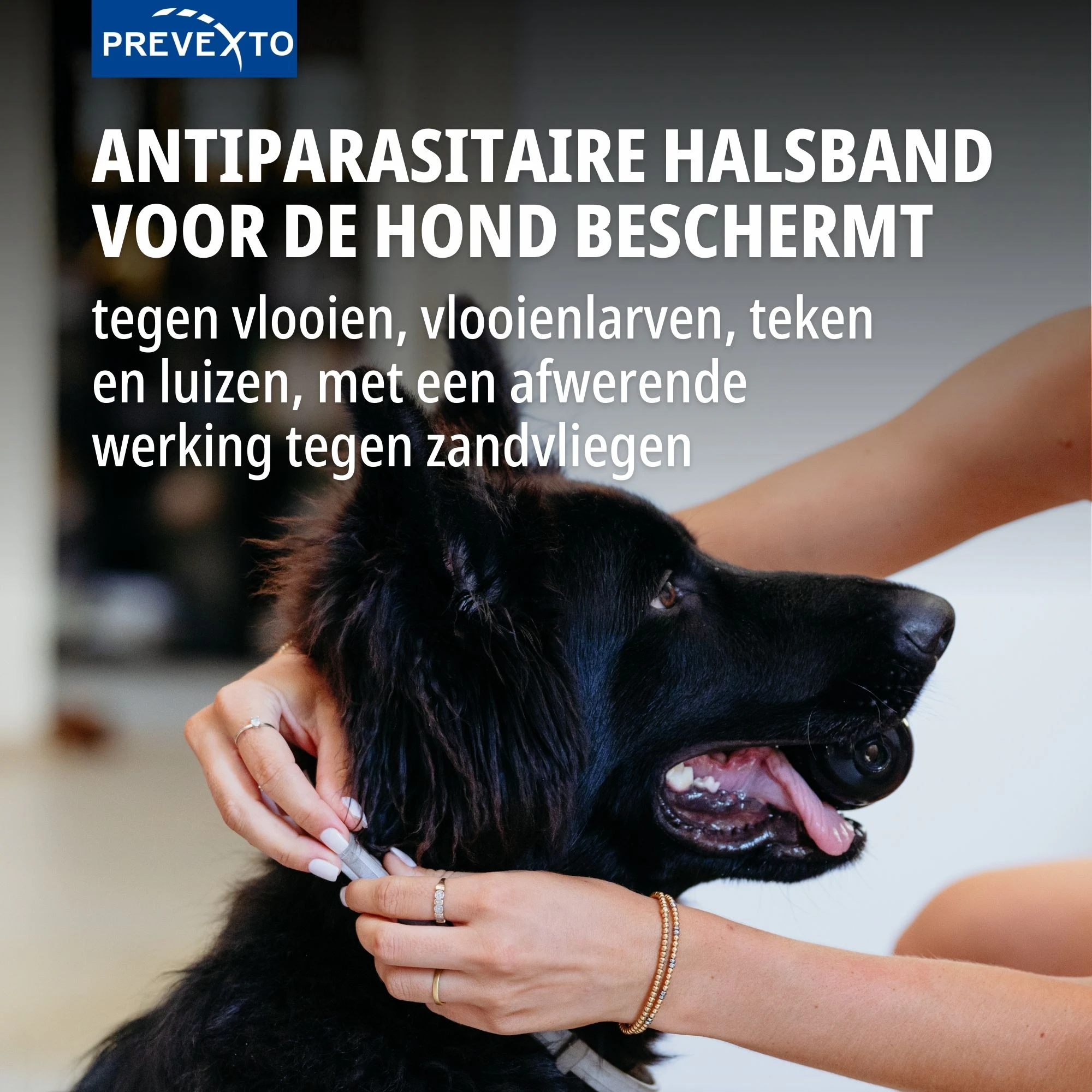 Virbac PreveXto Halsband Hond