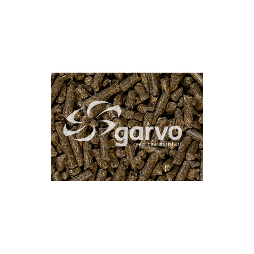 Garvo Alfabrok Junior Lapin