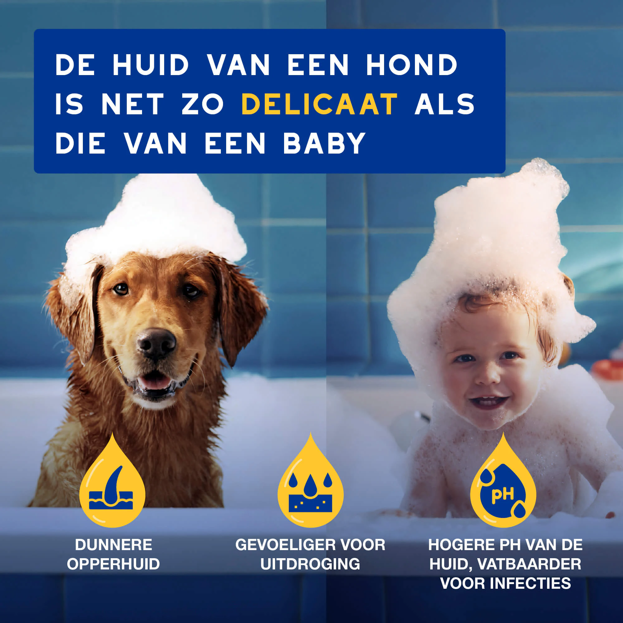 Douxo Spa Hydraterende Shampoo