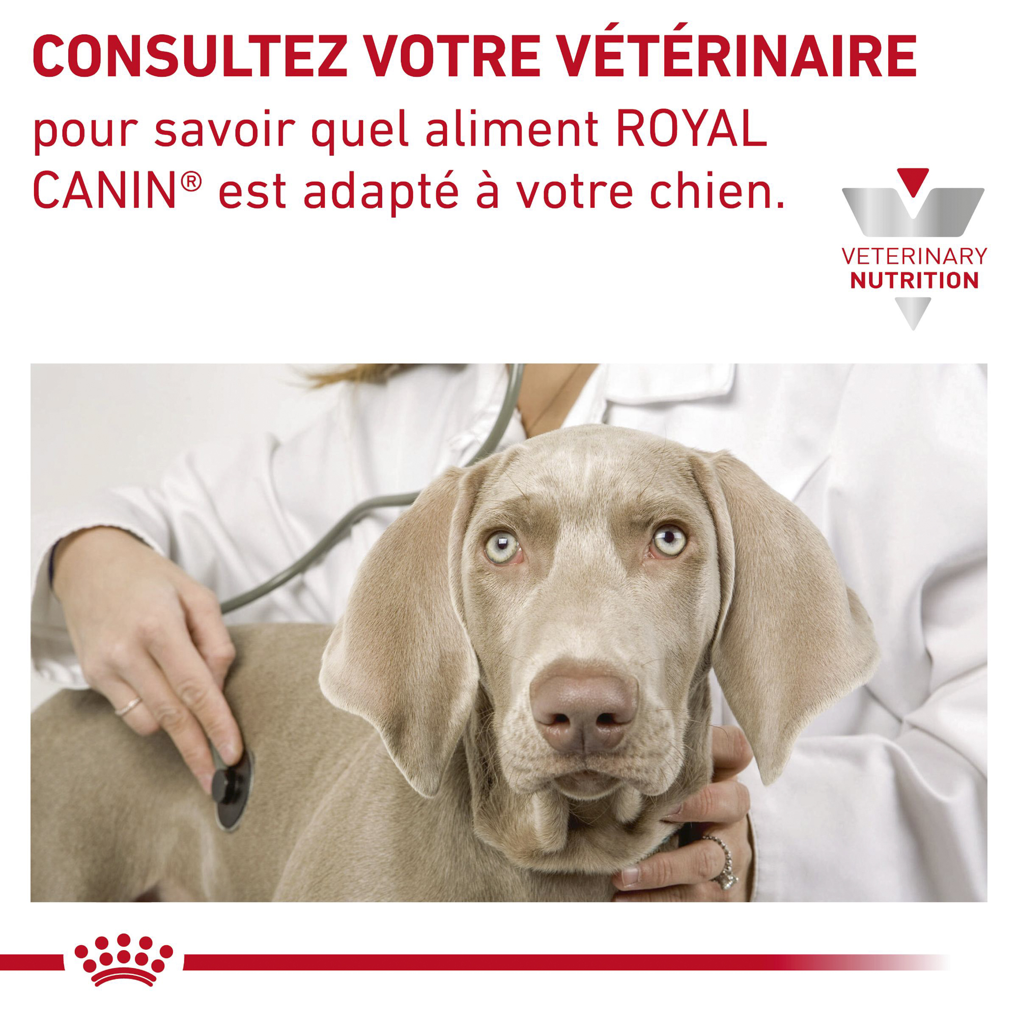 Royal Canin Gastro Intestinal Low Fat | Commander | Medpets.fr