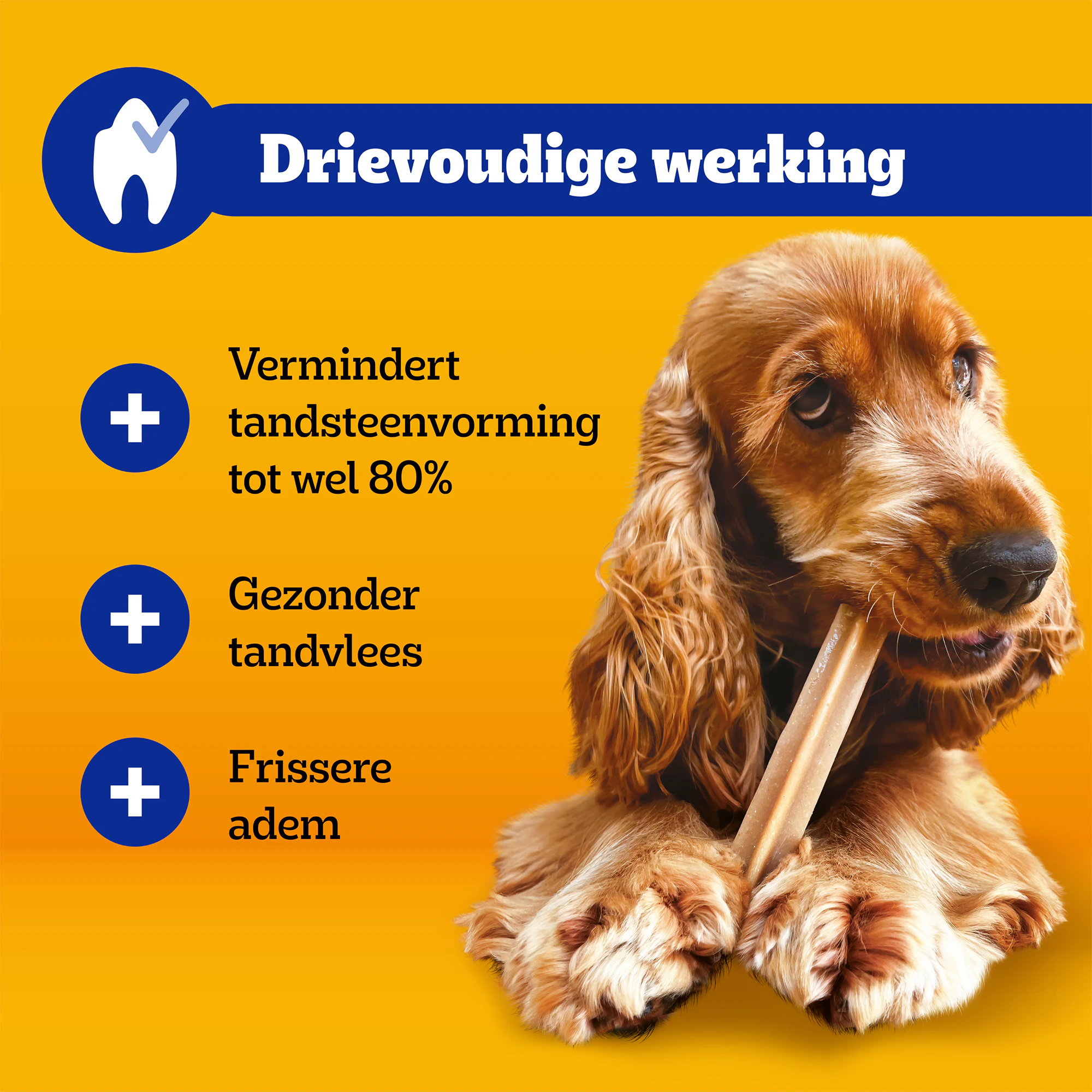 Pedigree DentaStix - Maxi Multipack