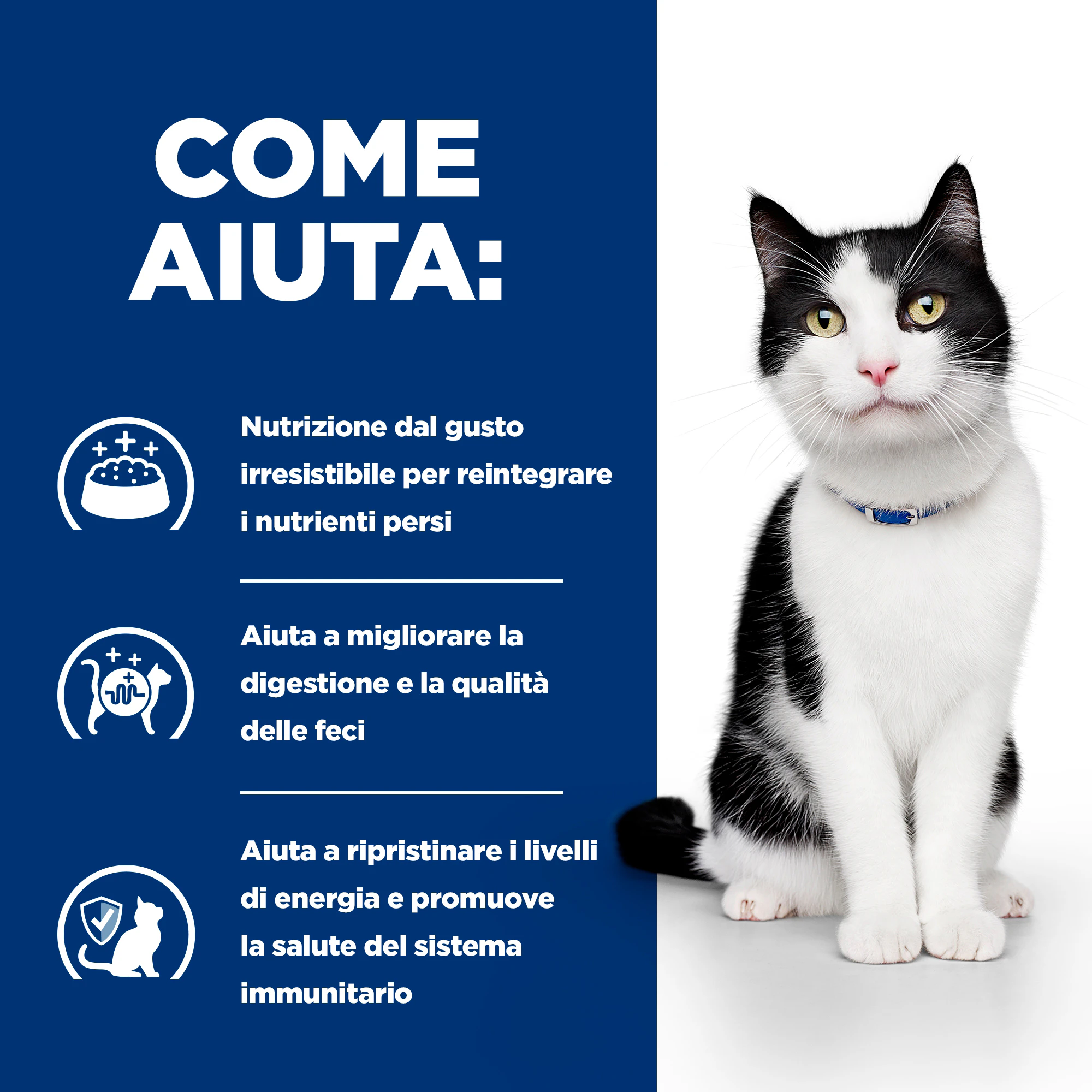 Hill's i/d Digestive Care - Prescription Diet - Feline - Buste Cibo Umido