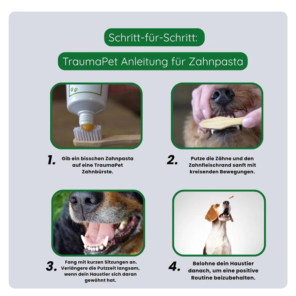 TraumaPet Zahnpasta