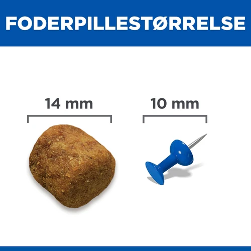 Hill's Science Plan Large Breed - Adult - Lam & Ris