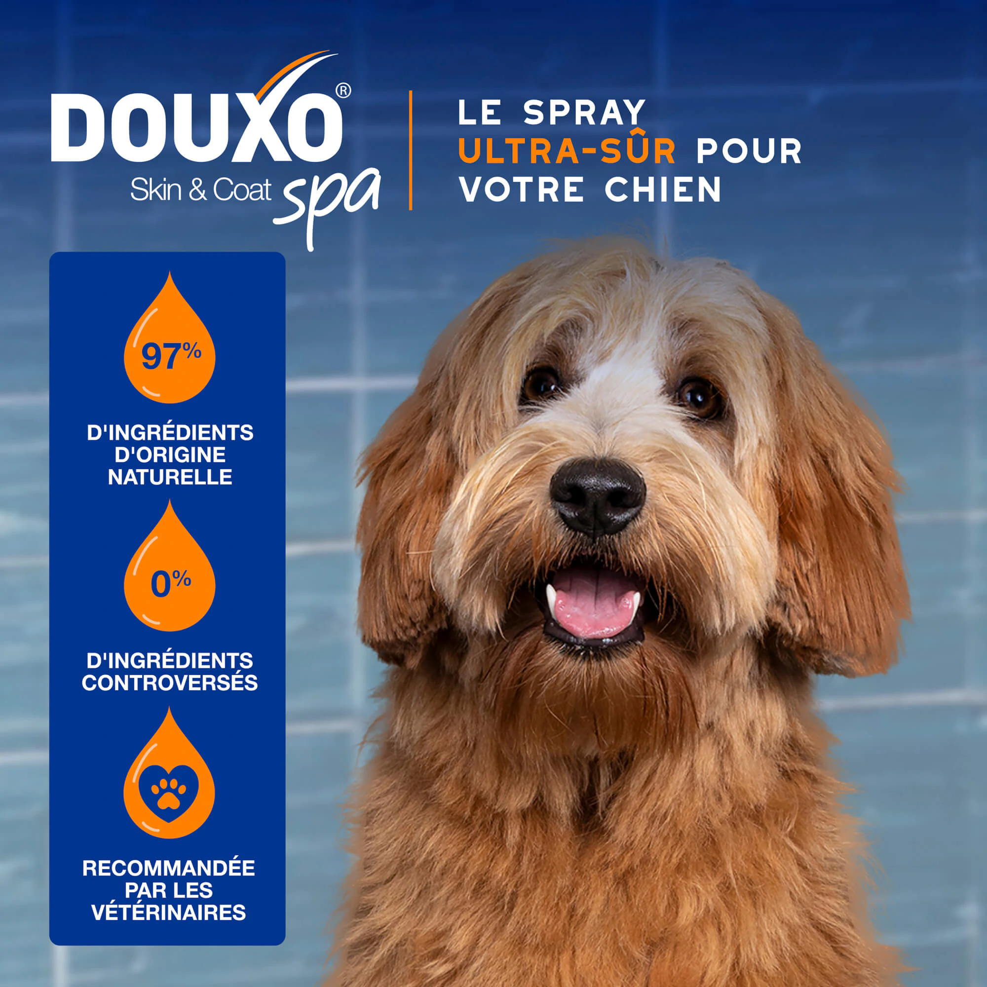 Douxo - Spray Spa Démêlant