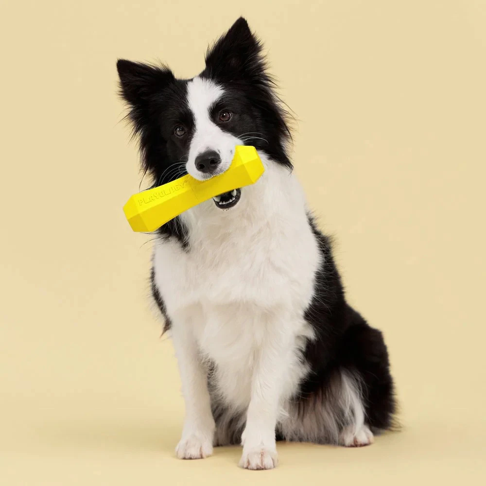 Playology Squeaky Chew Stick
