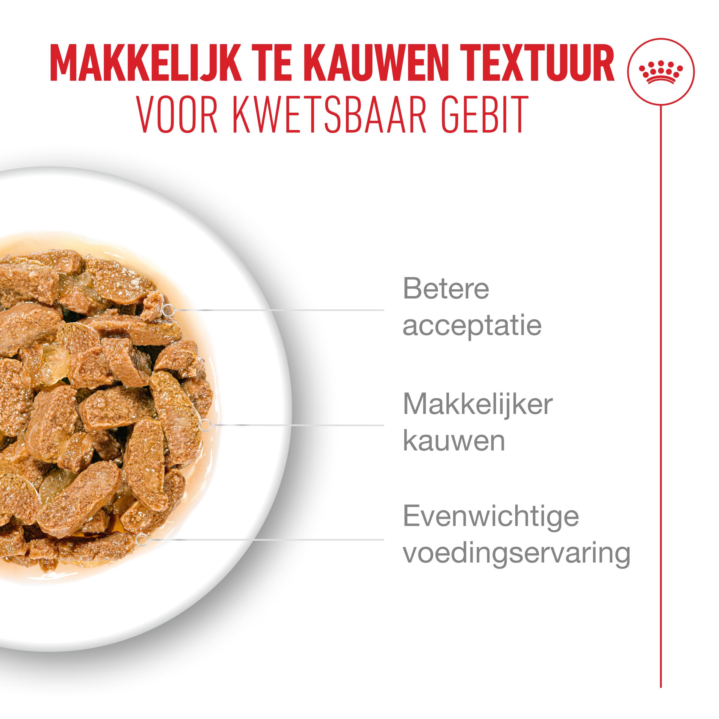 Royal Canin Ageing 11+ in Jelly - Kattenvoer