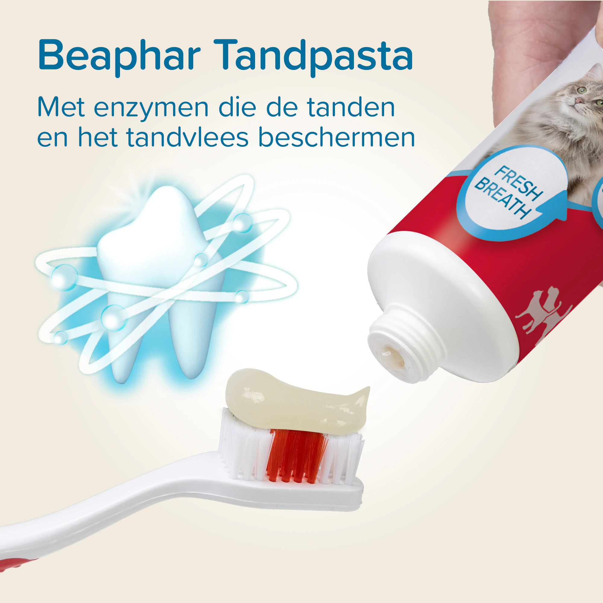 Beaphar Combi-pack Tandpasta + Tandenborstel