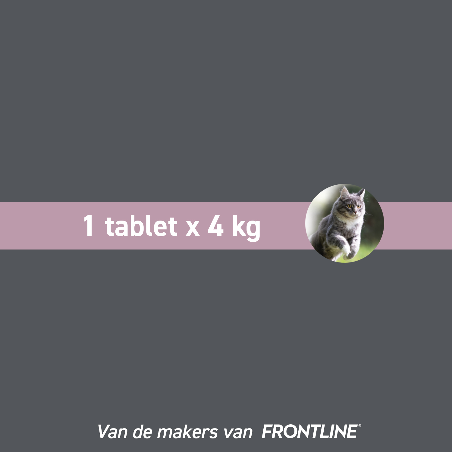 Frontcontrol Wormer Kat