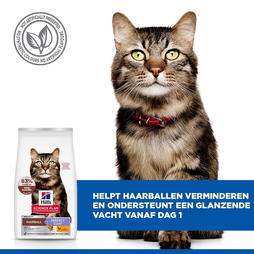 Hill's Science Plan Hairball & Perfect Coat Kattenvoer