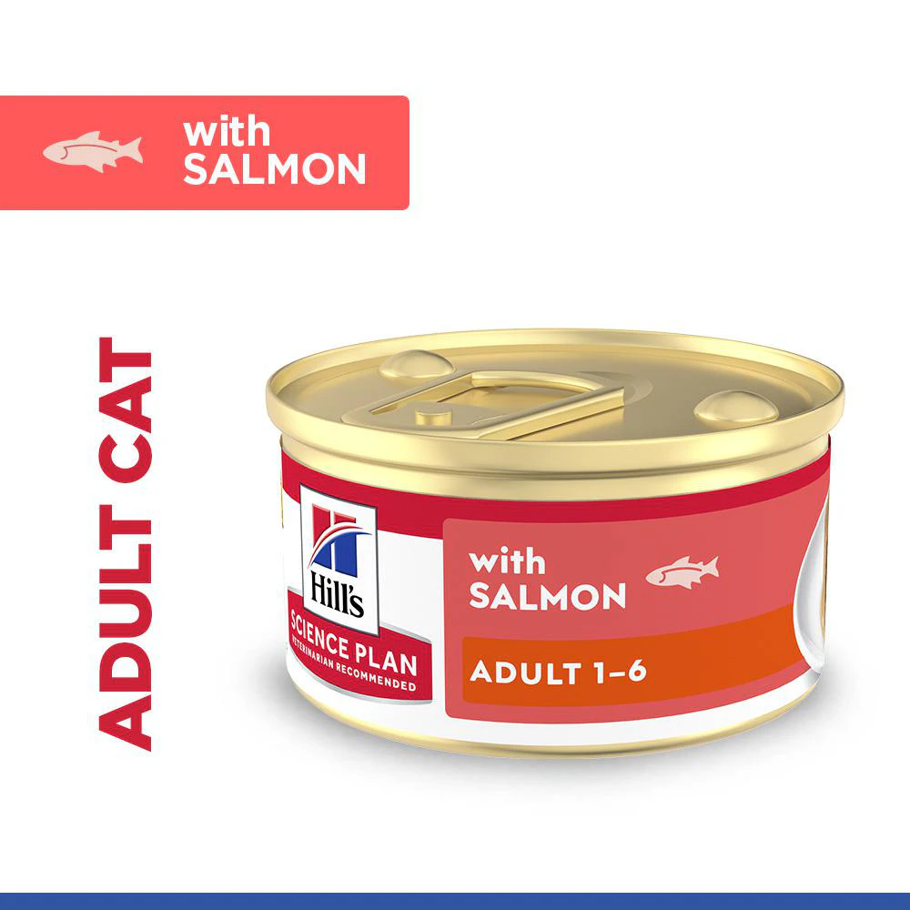 Hill's Science Plan Feline Adult Premium Mousse - Salmon