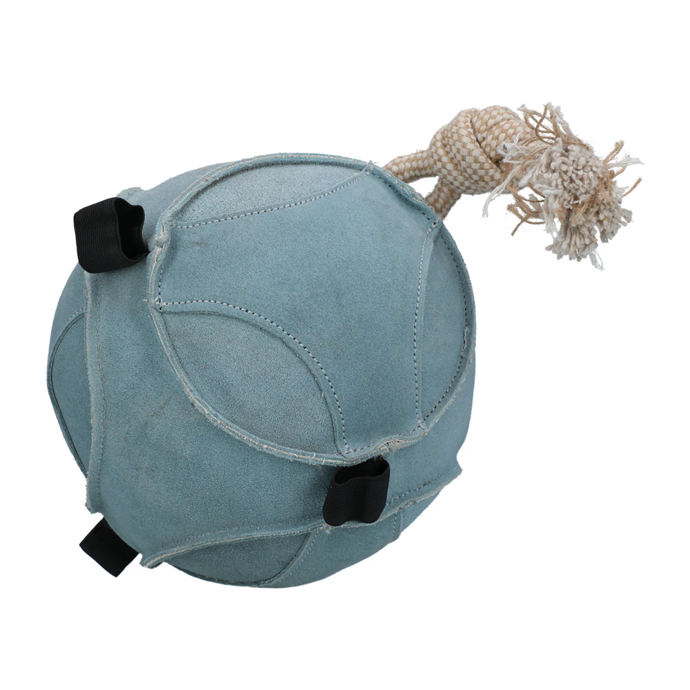 Excellent Horse Fun Play Ball