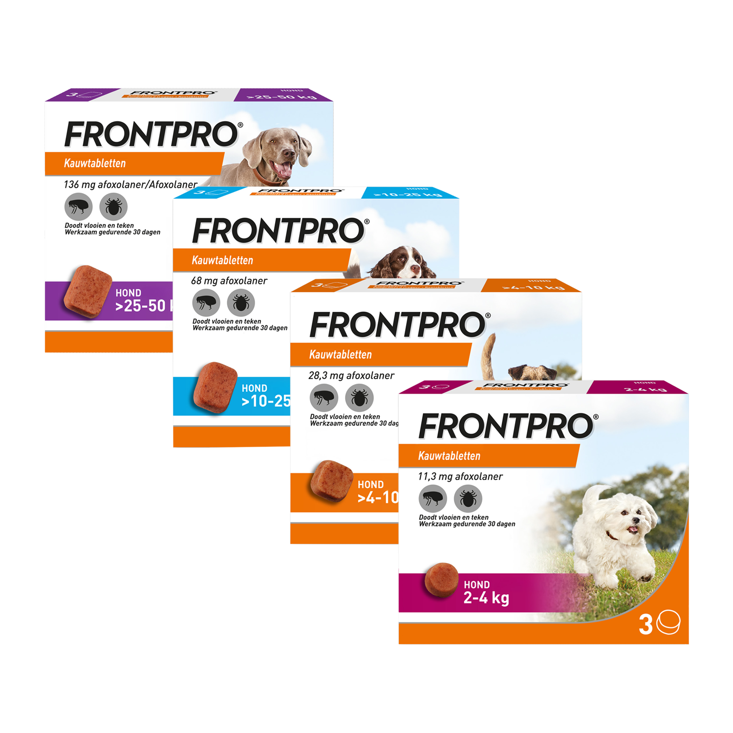 FRONTPRO Kauwtabletten Hond