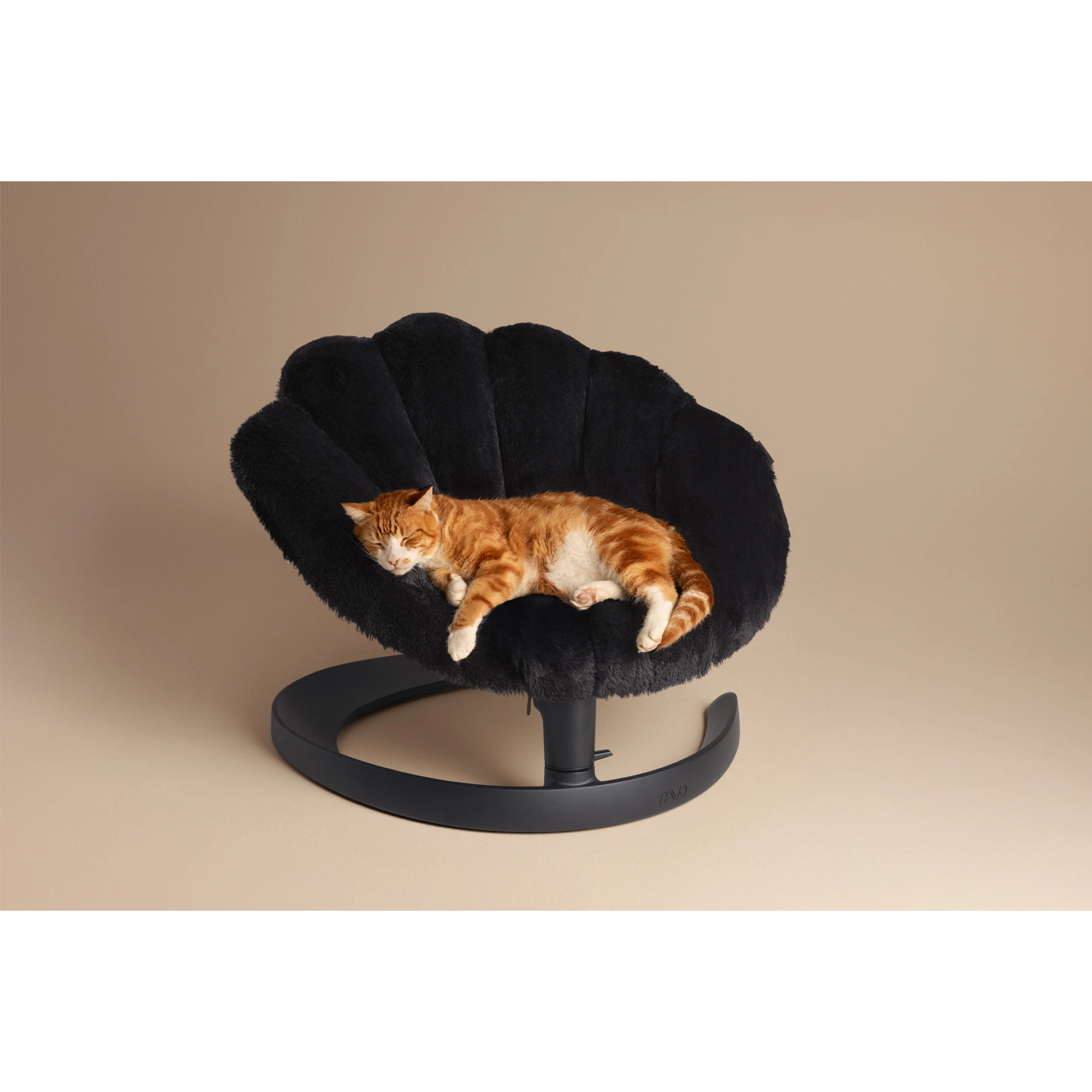 Tavo Pets Shell