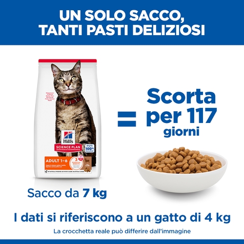 Hill's Science Plan Adult - Agnello