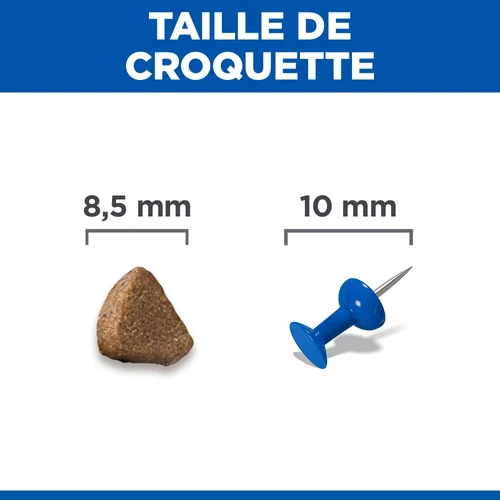 Hill's Science Plan - Chaton - Saumon