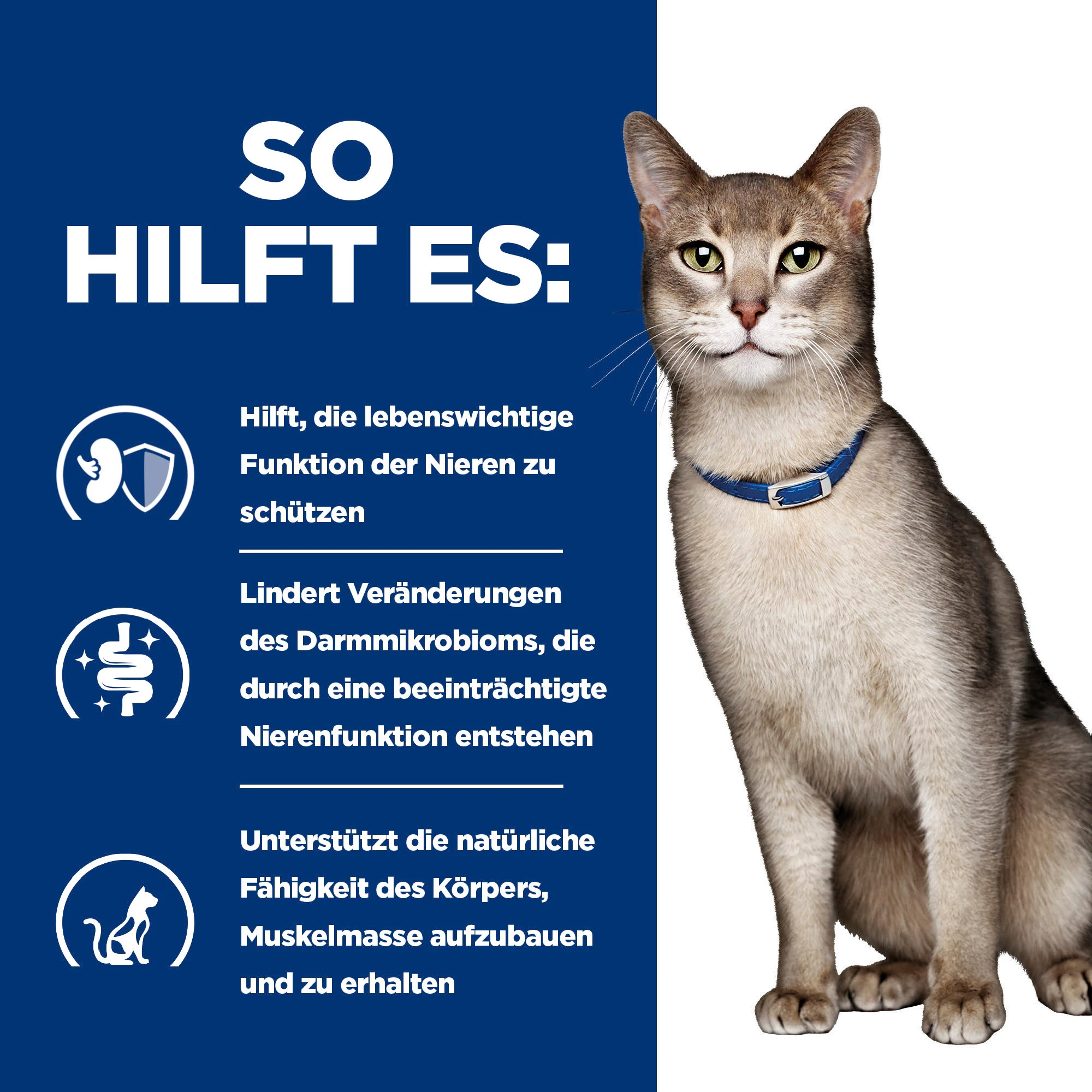 Hill's k/d Kidney Care - Prescription Diet - Feline - Mousse