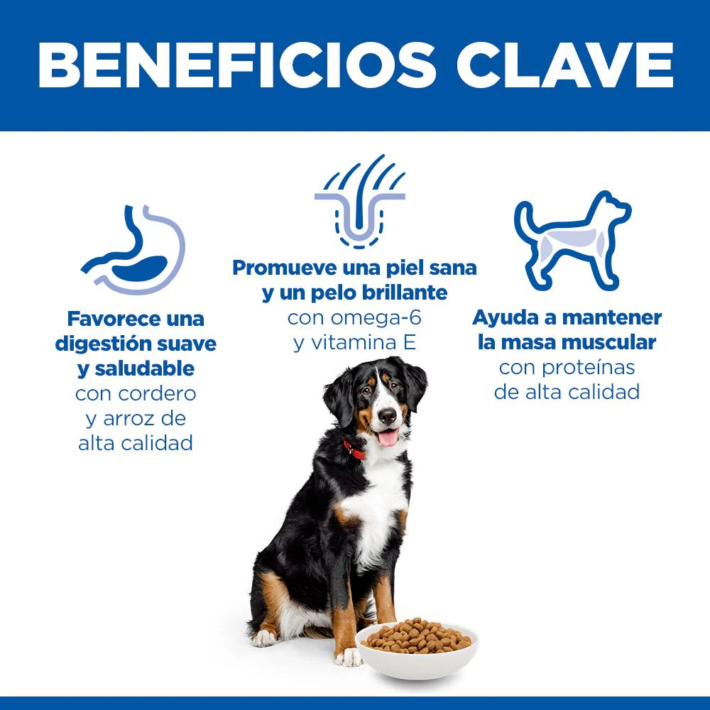 Hill's Science Plan Large Breed - Adult - Cordero y Arroz