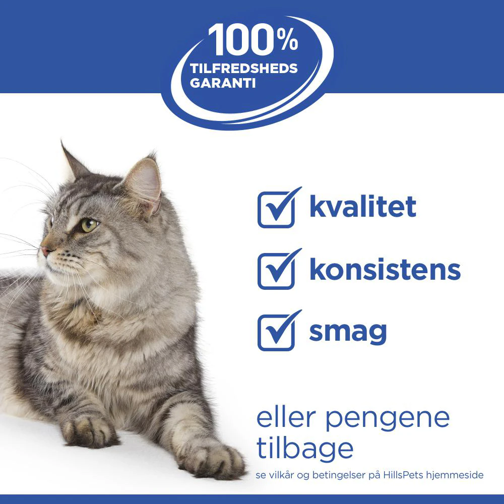 Hill's Science Plan Feline Adult Premium Mousse - Kylling