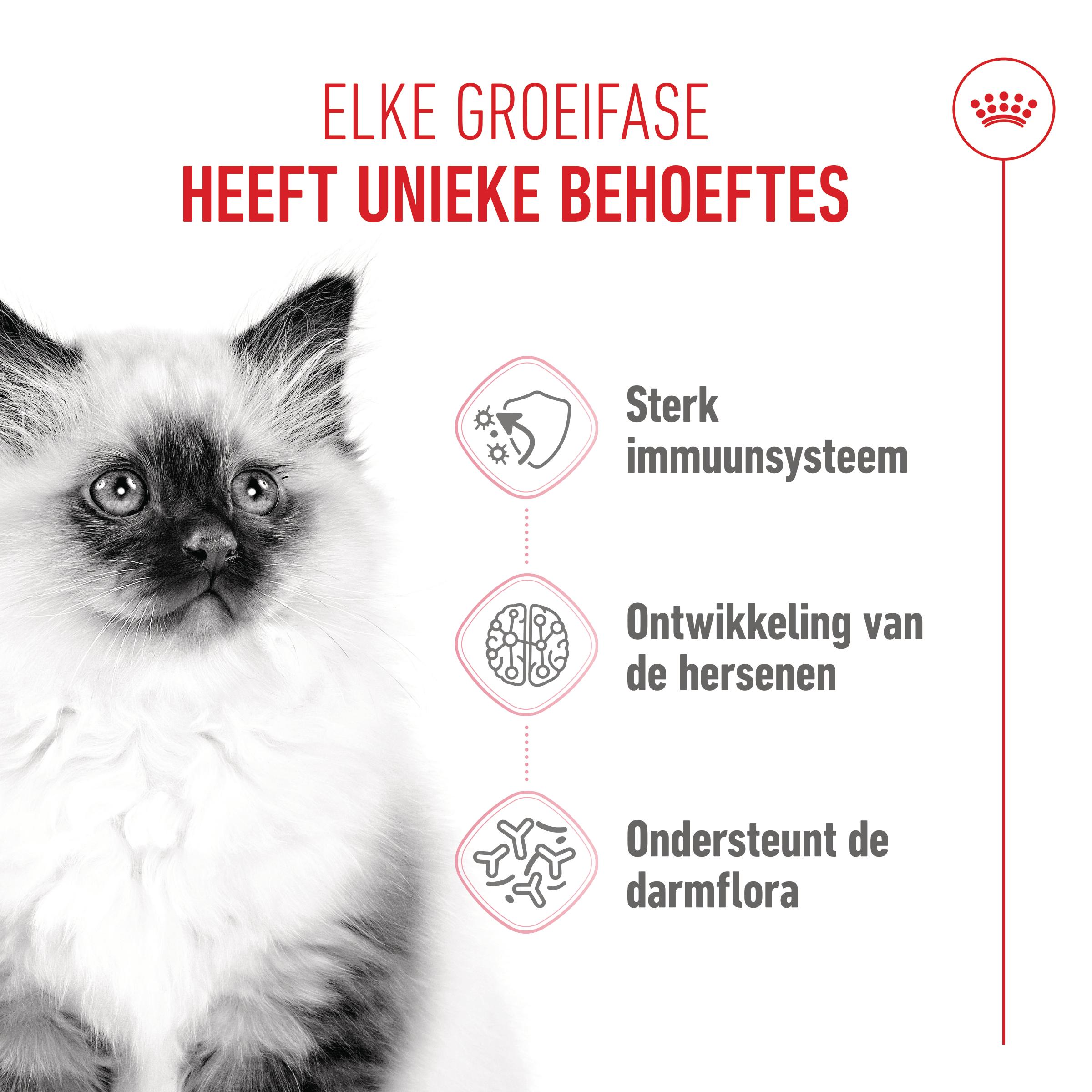 Royal Canin Kitten - Kattenvoer