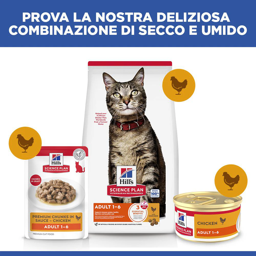 Hill's Science Plan Feline Adult Premium Mousse - Pollo