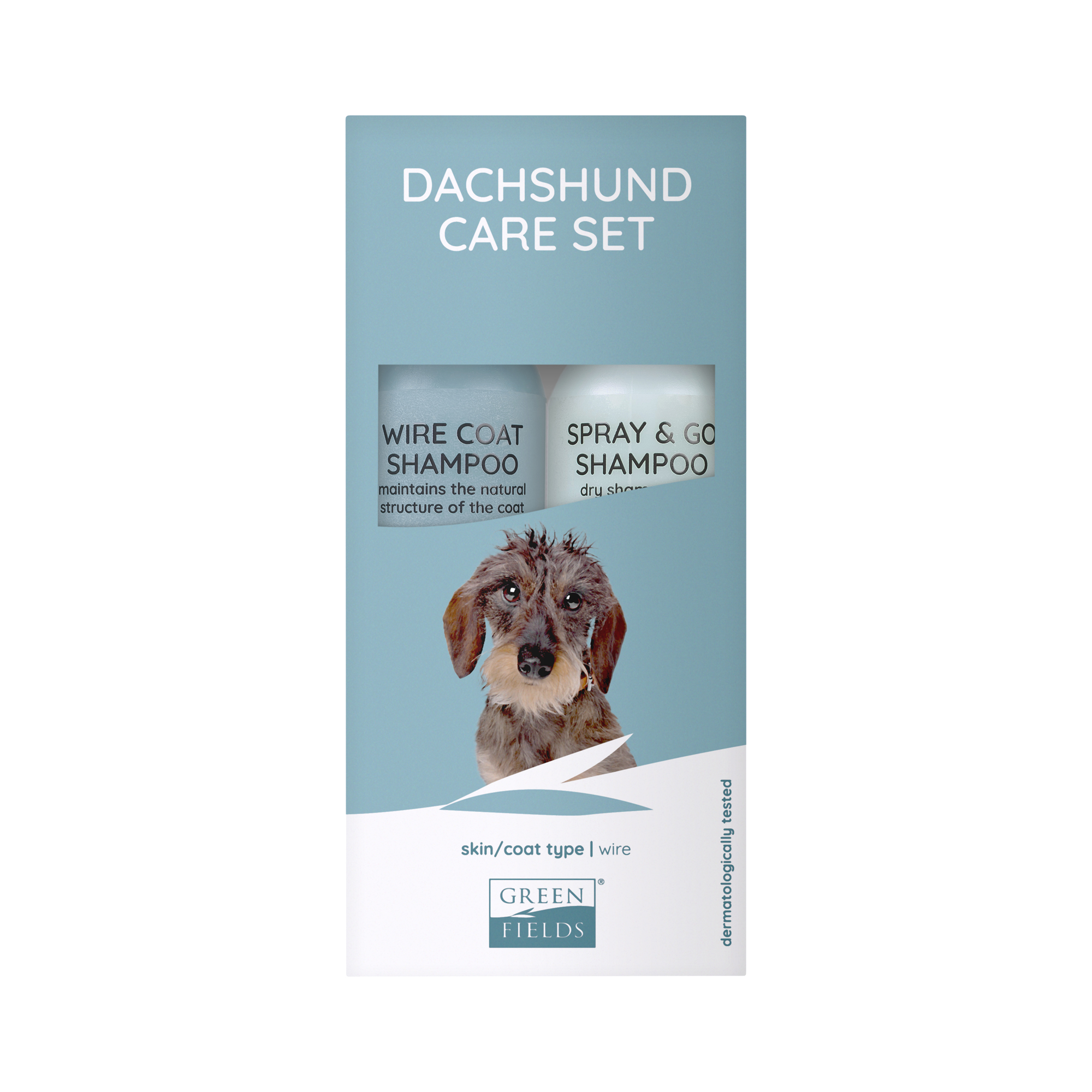 Dachshund care store