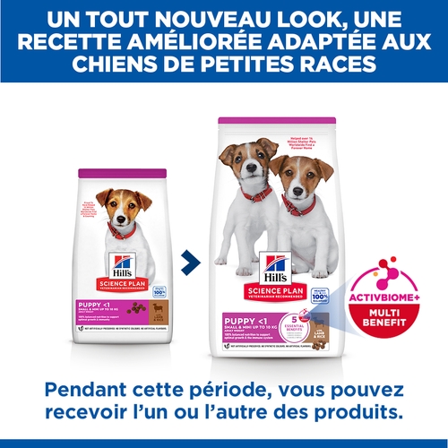 Hill's Science Plan - Puppy - Small & Mini - Agneau & Riz