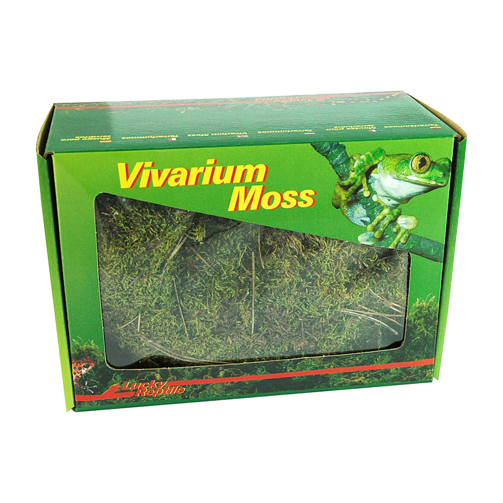 Lucky Reptile Vivarium Moss