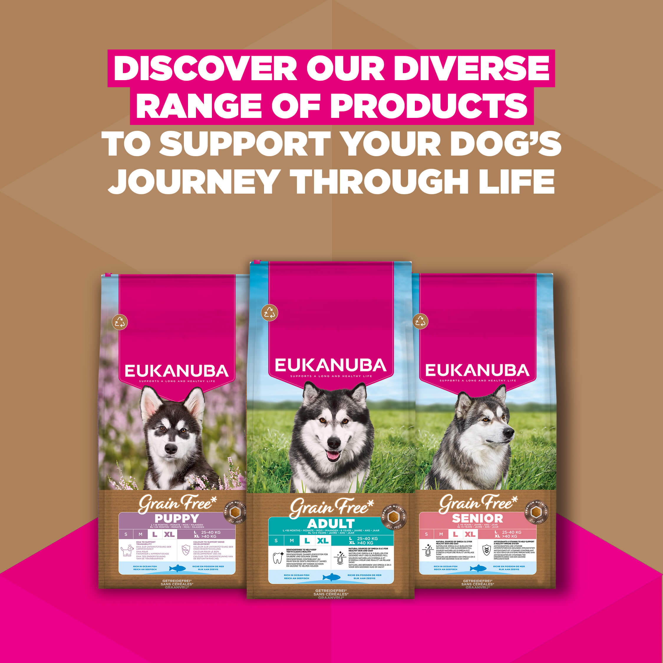 Eukanuba Dog Junior Large Grain-free Dog Food