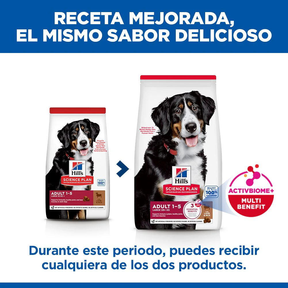 Hill's Science Plan Large Breed - Adult - Cordero y Arroz