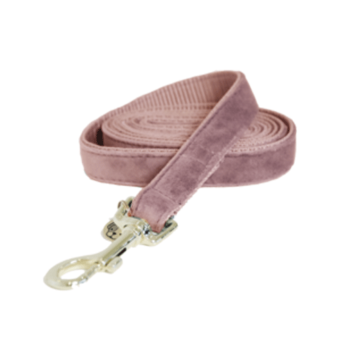 Kentucky Dogwear Laisse pour Chien Velours - 120 cm - Vieux rose