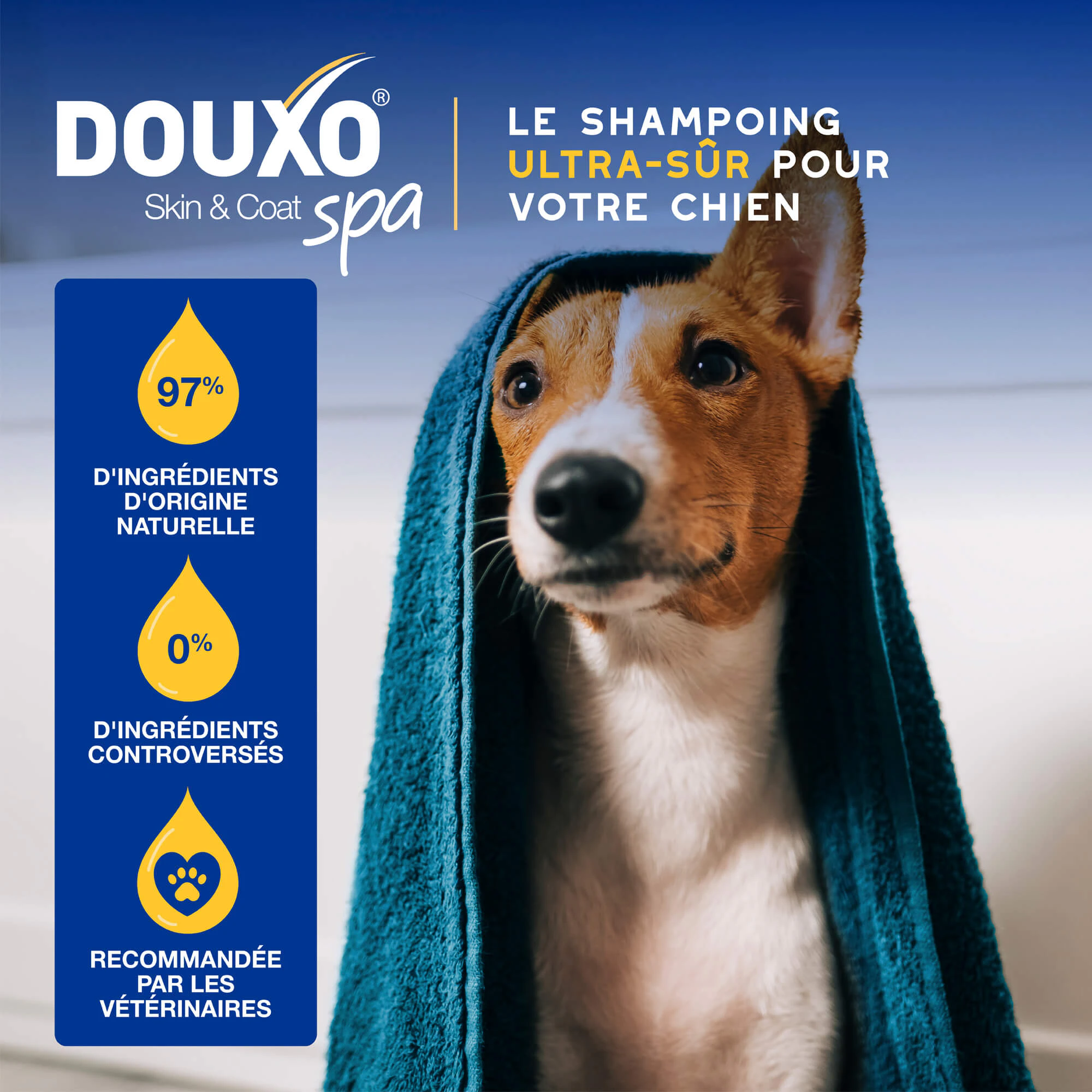 Douxo Spa Shampooing Hydratant