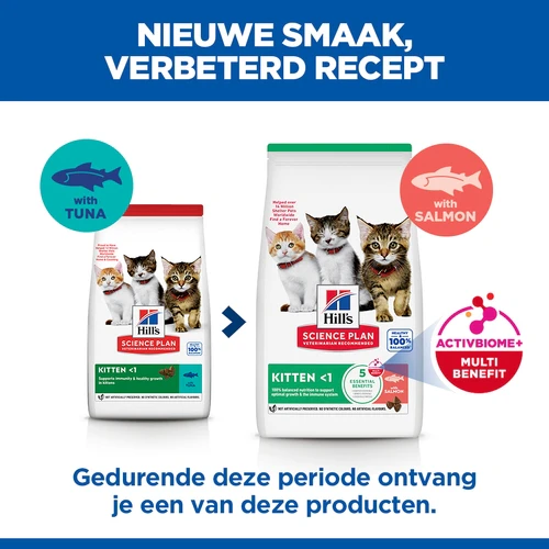 Hill's Science Plan - Kitten - Zalm
