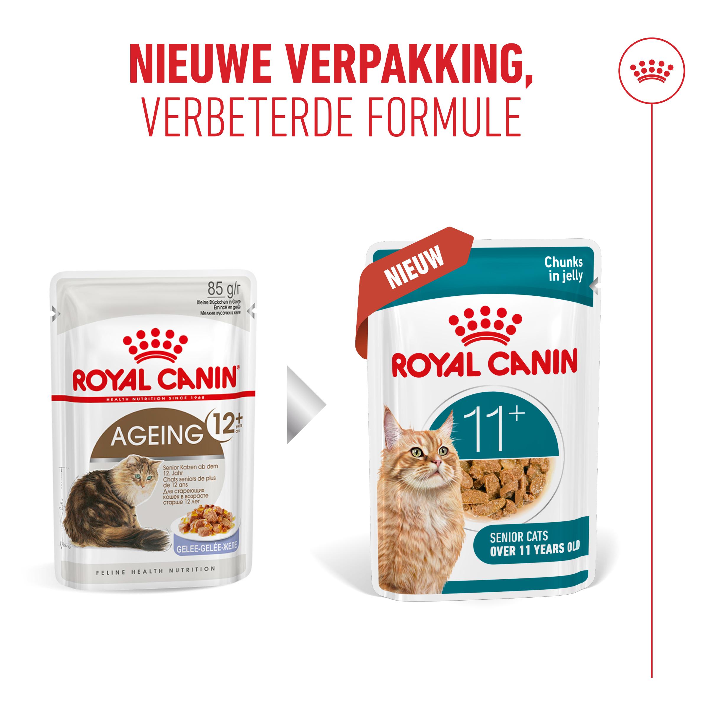 Royal Canin Ageing 11+ in Jelly - Kattenvoer