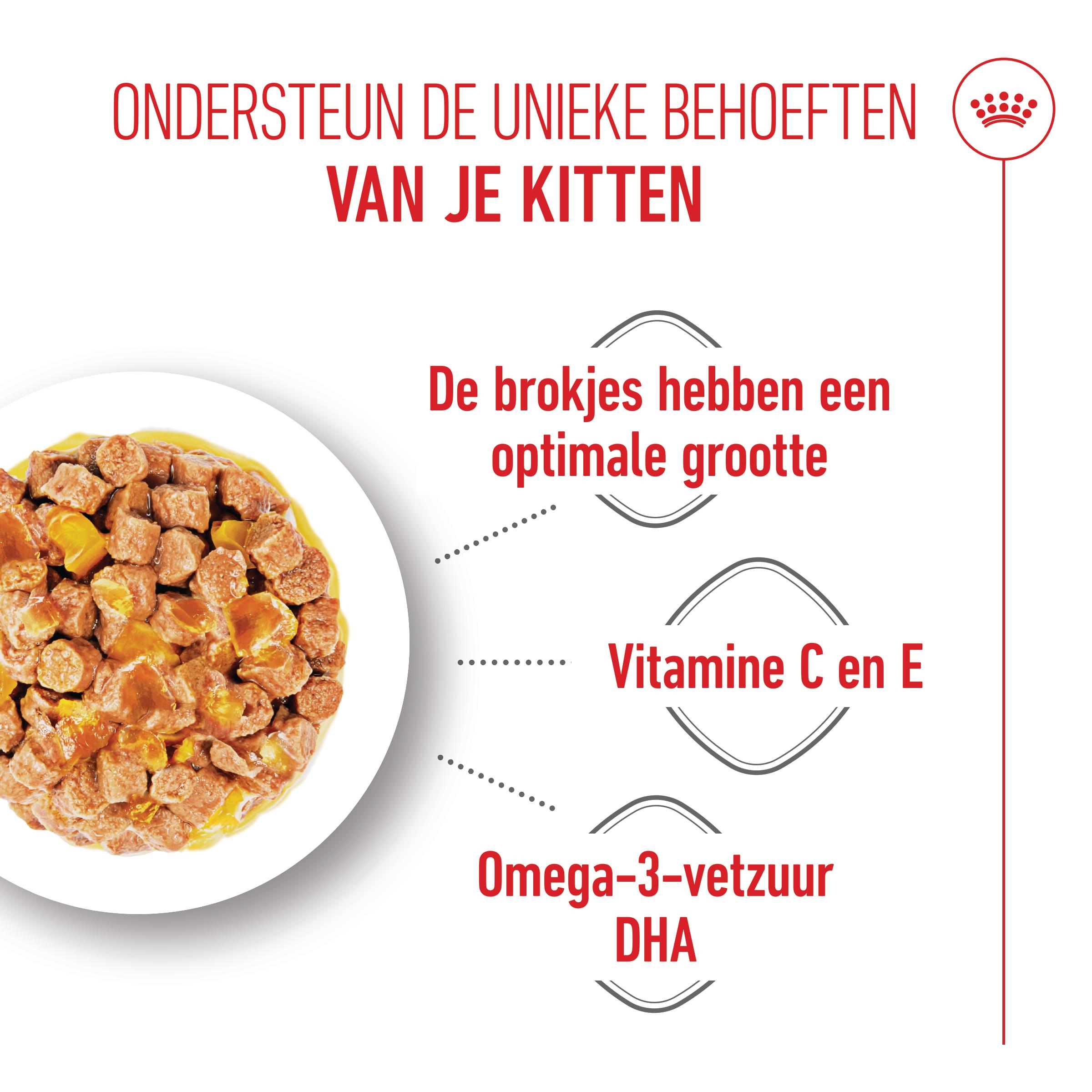 Royal Canin Kitten in Jelly - Kattenvoer