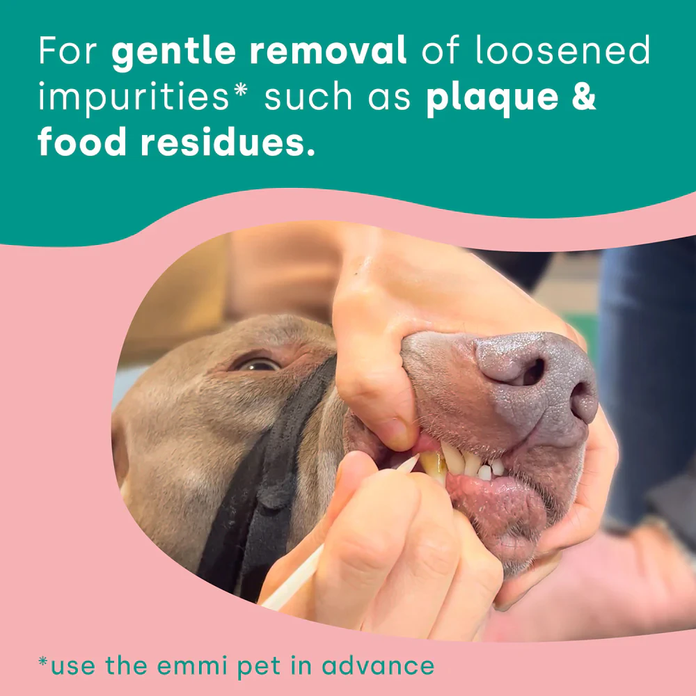 Emmi-Pet Brush Heads