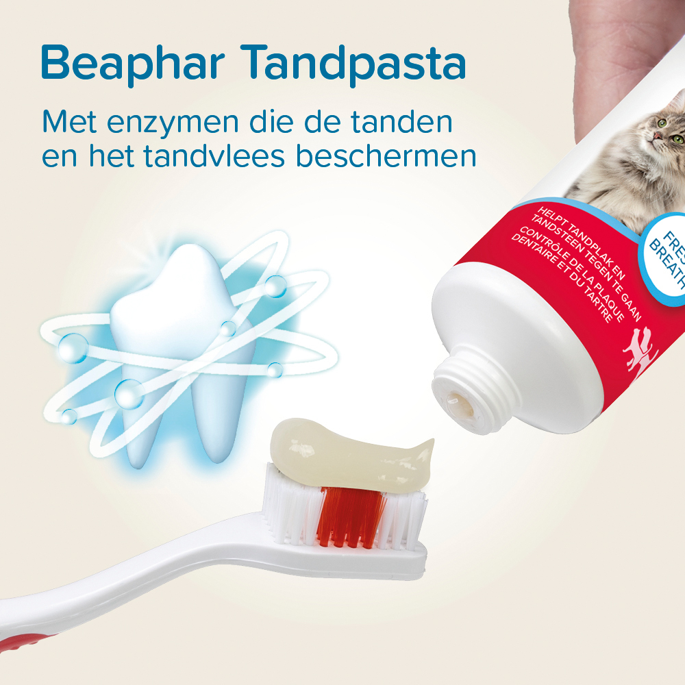 Beaphar Tandpasta