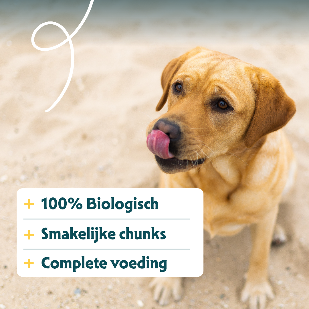 Yarrah - Natvoer Hond Blik Chunks met Rund Bio