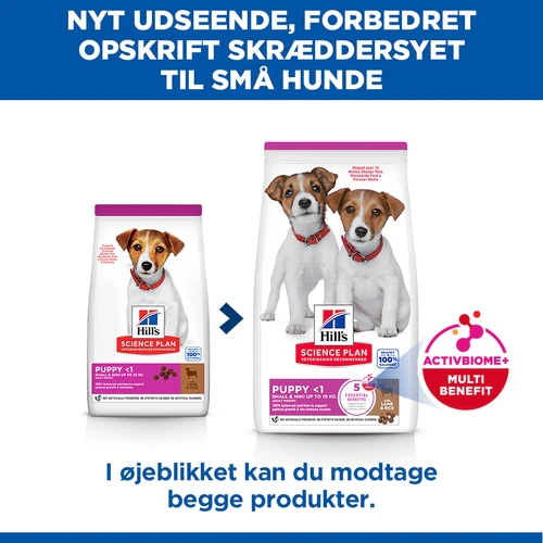 Hill's Science Plan Small & Mini - Hvalp - Lam & Ris