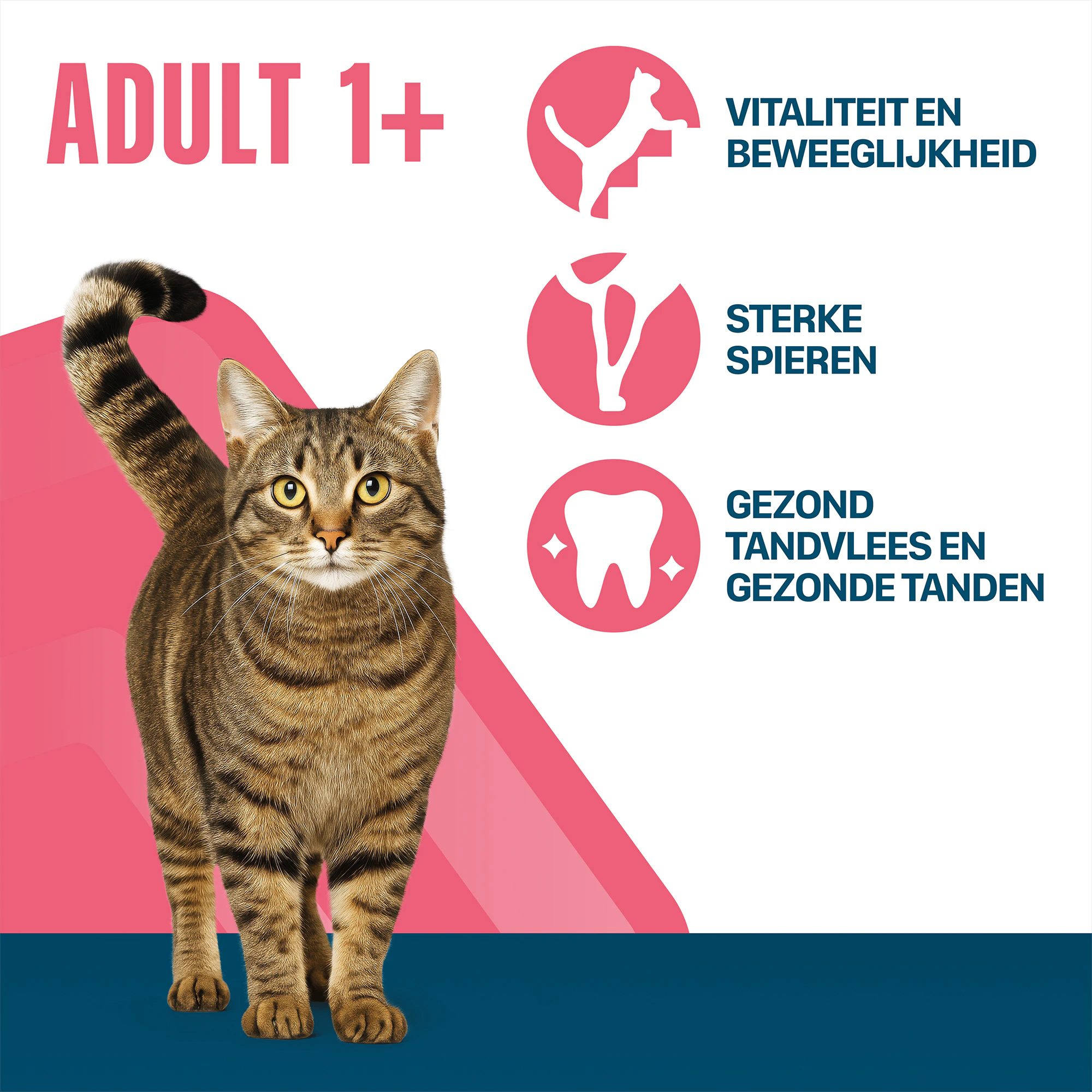 Perfect Fit Adult 1+