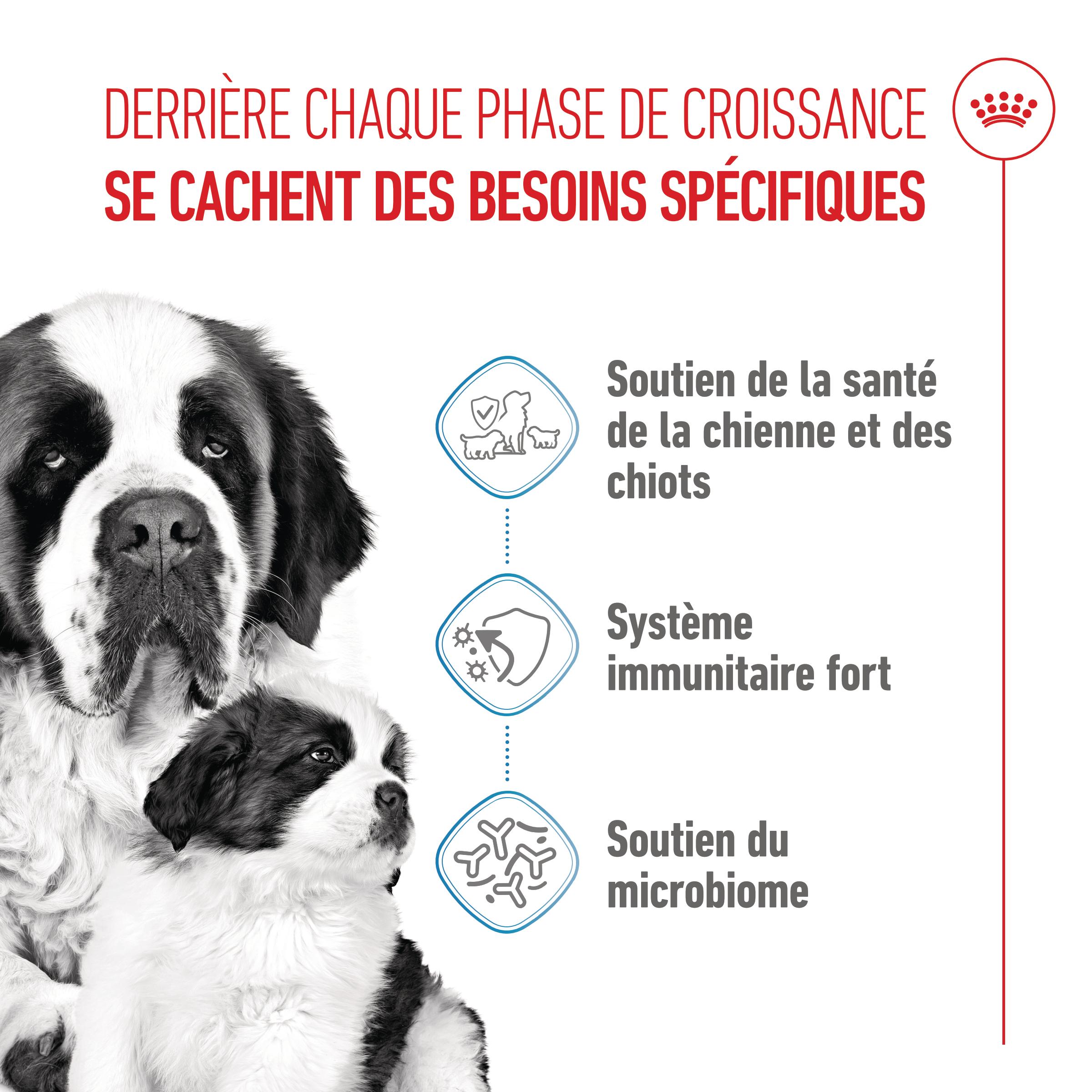 Royal Canin Giant Starter Mother & Babydog