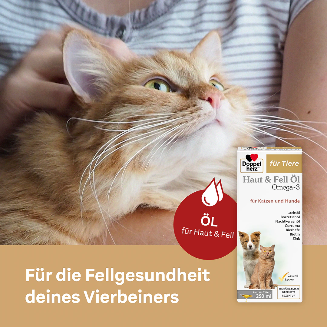 Doppelherz Haut & Fell Öl Omega-3 für Katzen und Hunde