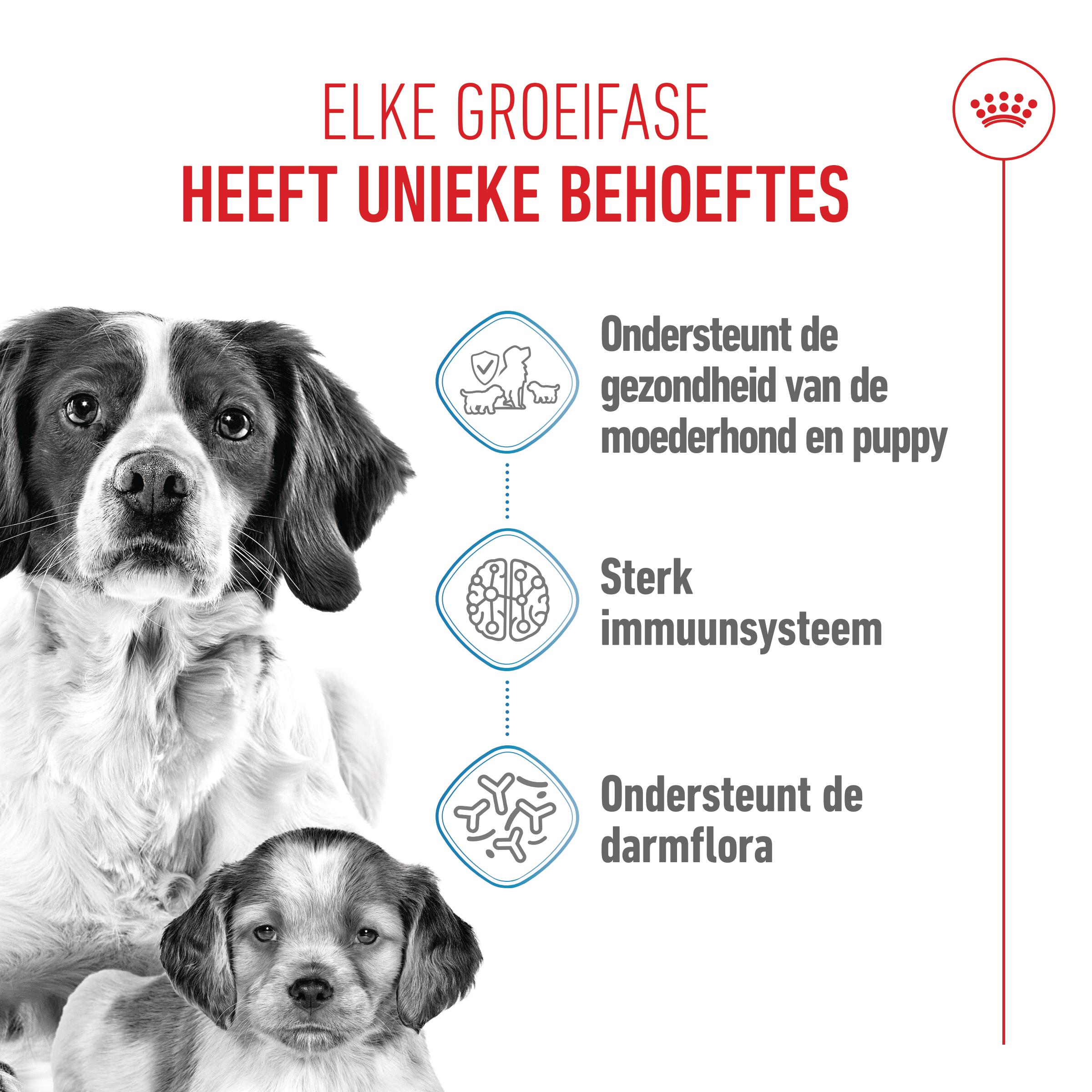 Royal Canin Medium Starter Mother & Babydog - Hondenvoer